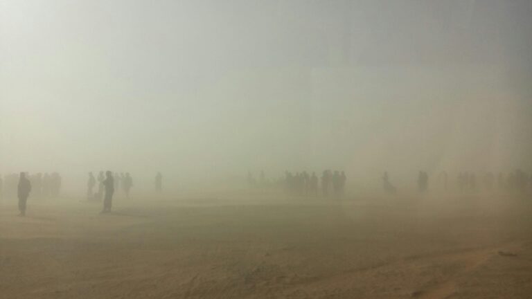 pexels lalejand 4353210