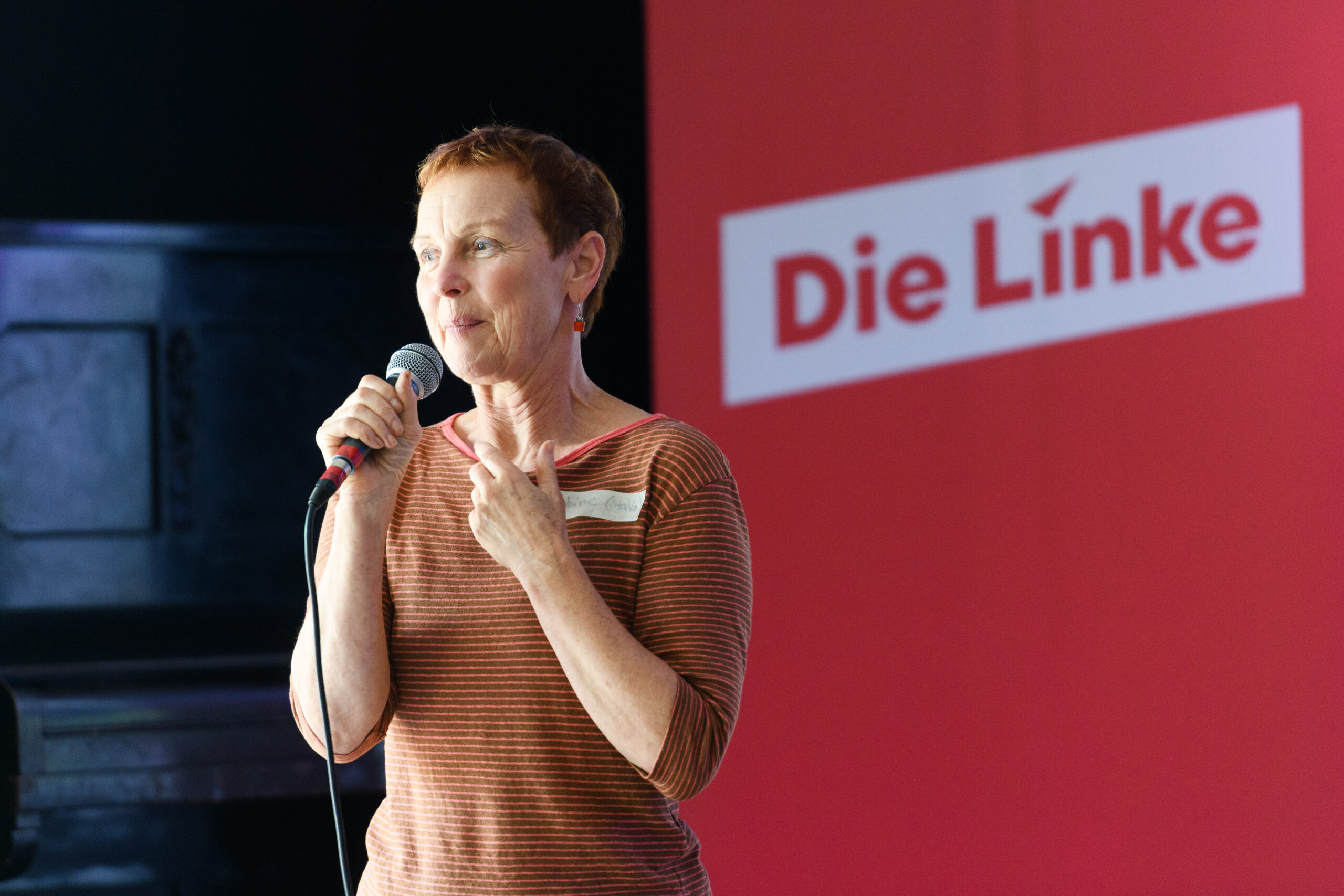 20250906 Aktionskonferenz Wohnen Leben Bleiben Die Linke 009 scaled