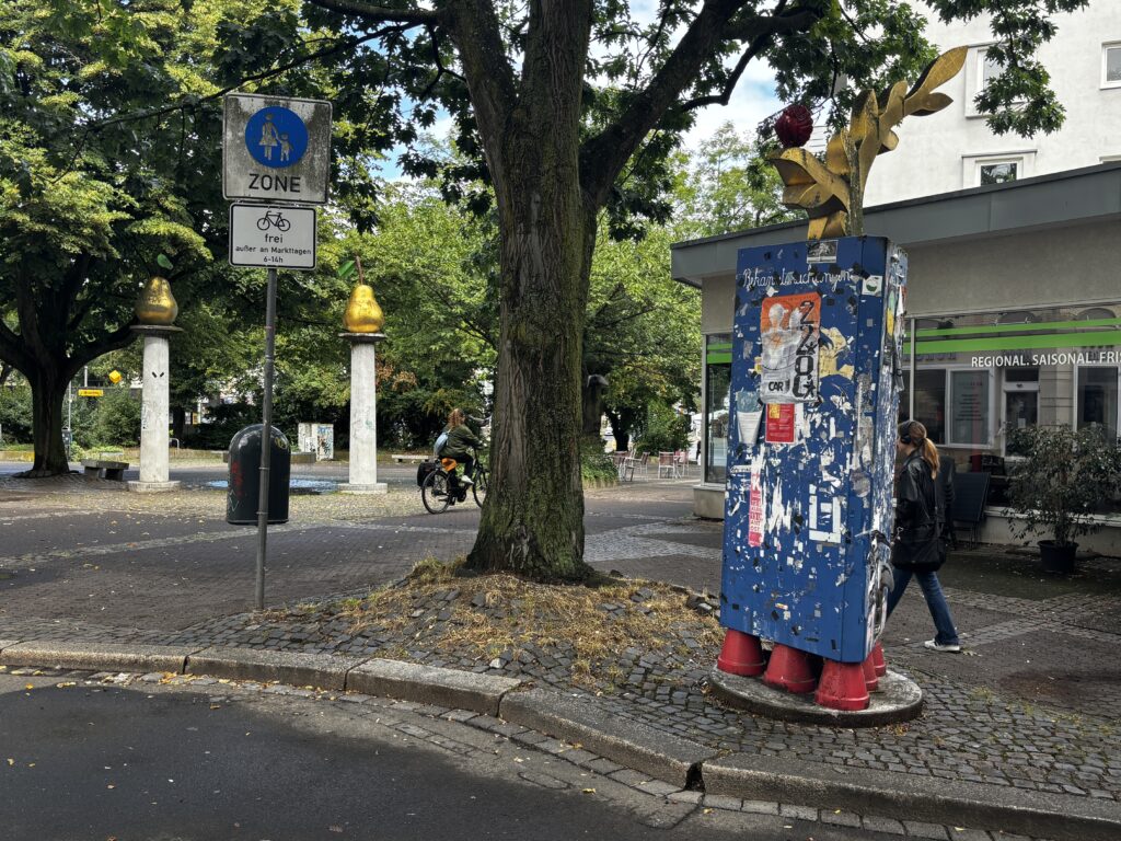 IMG 2672