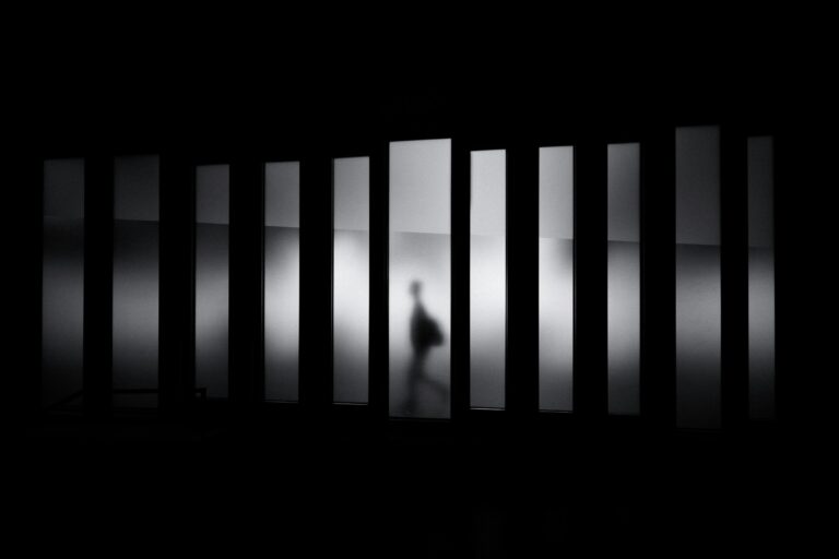 david werbrouck 5GwLlb UYk unsplash